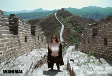 [WANIMAL王动] 官方出品最全收集 [3007P+9V]-美图岛