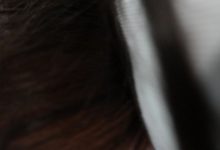 [ROSI写真]2021.01.11 NO.3325[41+1P45M]-美图岛