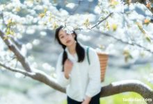 [YITUYU艺图语]2021.12.27 故乡的小燕子 欢欢[35+1P／588MB]-美图岛