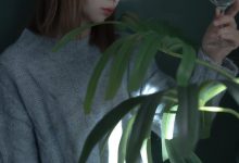 [YITUYU艺图语]2022.05.02 斗鱼 小可爱[21+1P／168MB]-美图岛