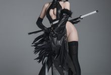 瓦斯塔亚小龙虾 - NO.13 2号B型 忍者 [42P-693MB]-美图岛