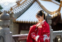 兔子Zzz不吃胡萝卜 - NO.79 深宫雪 [27P-260MB]-美图岛