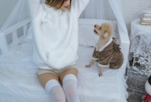 [YITUYU艺图语]2022.12.17 温馨少女与宠物们 兔子Zzz不吃胡萝卜[23+1P／371MB]-美图岛