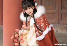 [YITUYU艺图语]2023.03.30 元日 酒酿圆子[24+1P／330MB]-美图岛