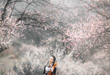 [YITUYU艺图语]2023.03.15 花季 欢欢[34+1P／751MB]-美图岛