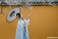 [YITUYU艺图语]2023.03.15 青梅 阡墨红尘[27+1P／580MB]-美图岛