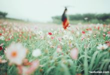 [YITUYU艺图语]2023.04.26 花语 小温暖想要个大太阳 [23+1P／231MB]-美图岛