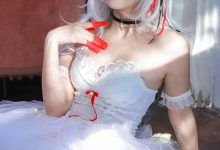 苏嫣嫣阿姨-明日方舟-W芭蕾 [30P-249MB]-美图岛