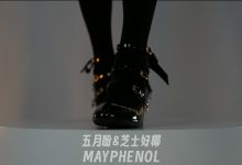 芝士好椰 NO.009  - 简直是难以抗拒的奢华光泽[1V／627MB]-美图岛