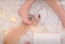 [SSA丝社]短片 NO.0146 君君 皮尔卡丹丝袜[1V／268MB]-美图岛