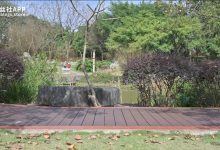 [SSA丝社] 短片 NO.211 文子 国产muziduo[1V-1.01G]-美图岛