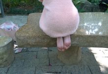 [MussGirl]慕丝女郎视频 No.027 人气网红主播月亮姐姐有幸约得户外拍摄 [MP4-3.00GB]-美图岛