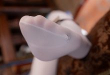 Sayako今年四岁-原神-珐露珊[38P-796MB]-美图岛